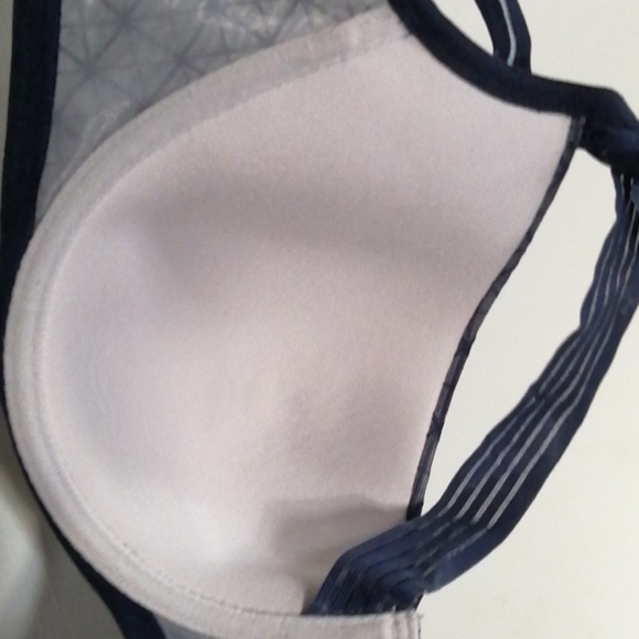 Ashley Graham bra - Picture 8 of 12